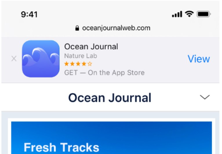 apple smart banner